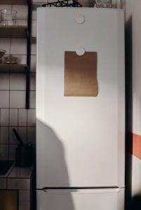 kako deluje hladilnik